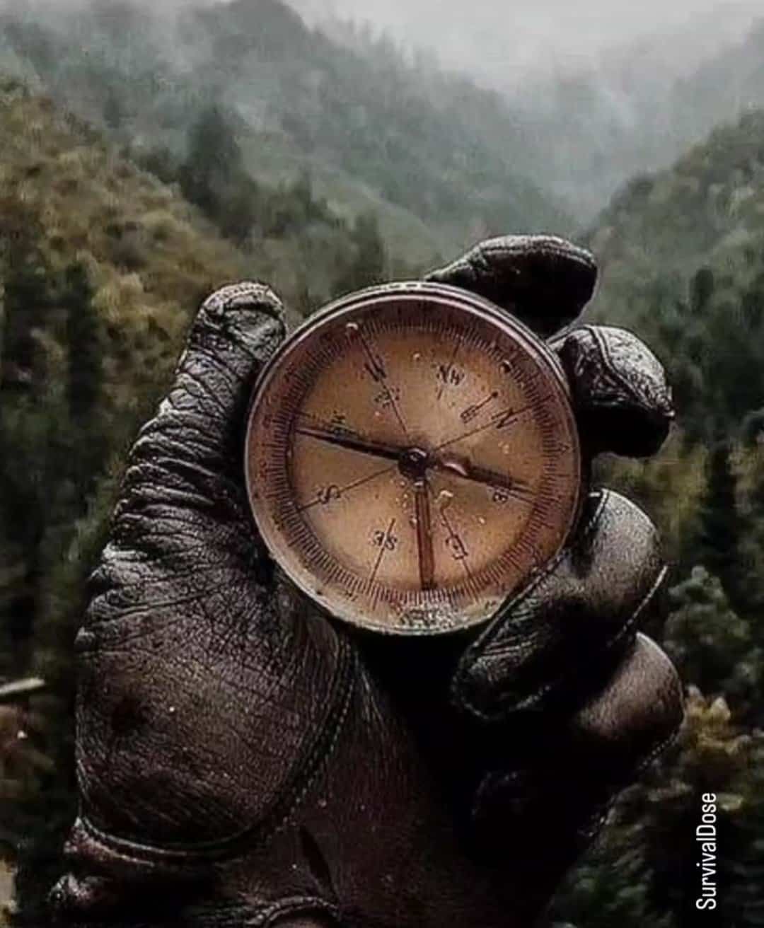 Compass Guide